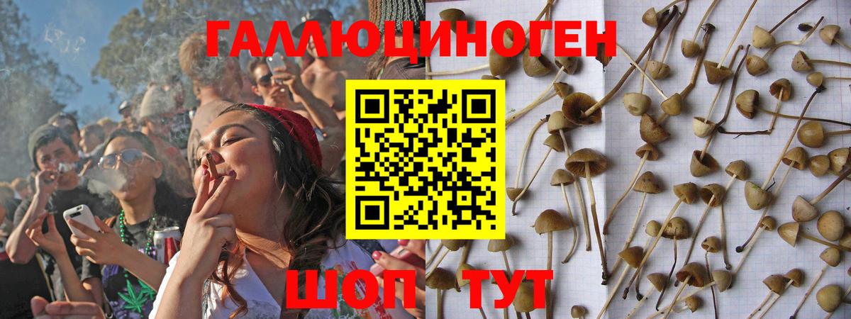 Галлюциногенные грибы GOLDEN TEACHER Морозовск