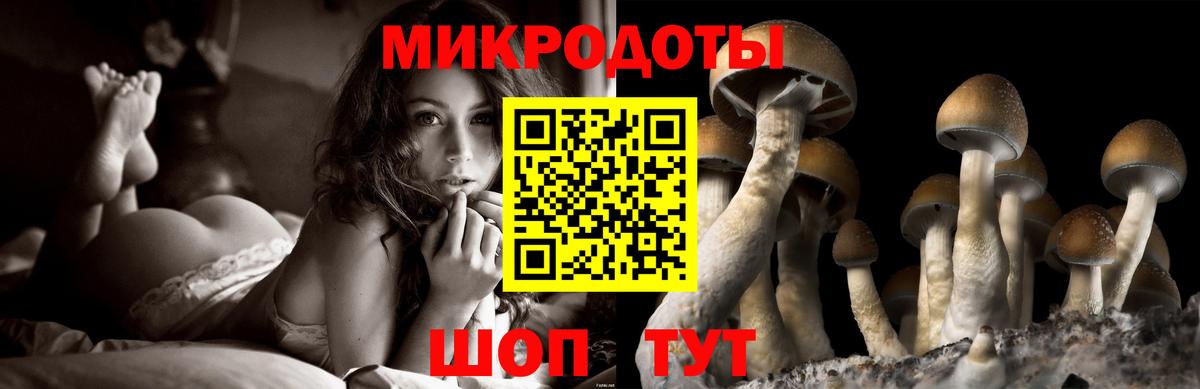 Псилоцибиновые грибы Psilocybe  Вход с VPN  Морозовск 